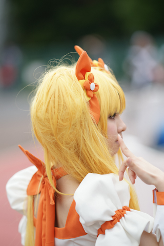 共建“三型两网”的新时期国家电网：半岛(中国)